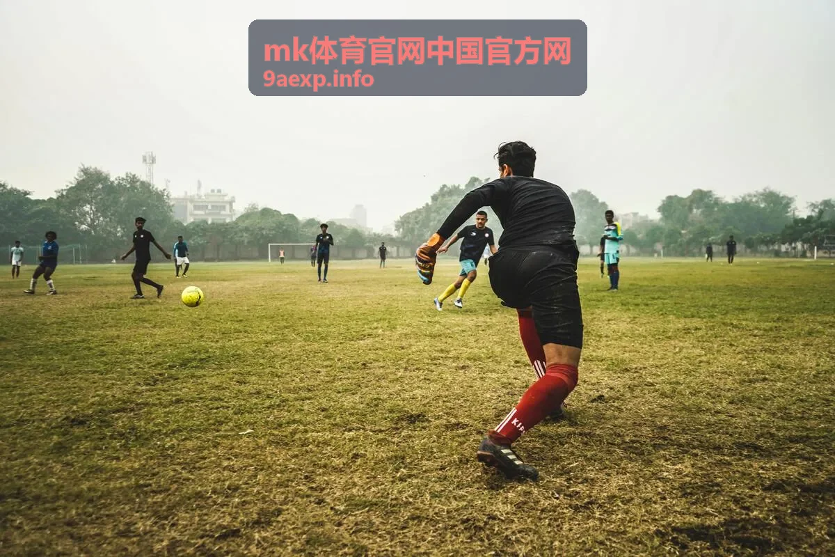 mk体育官网中国官方网 攻防效率对照统计
