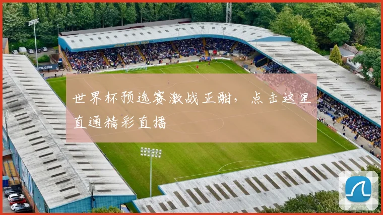 世界杯预选赛激战正酣，点击这里直通精彩直播