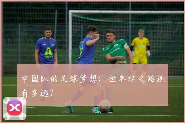 中国队的足球梦想：世界杯之路还有多远？
