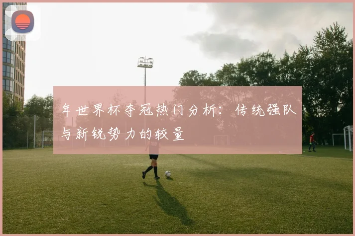 年世界杯夺冠热门分析：传统强队与新锐势力的较量