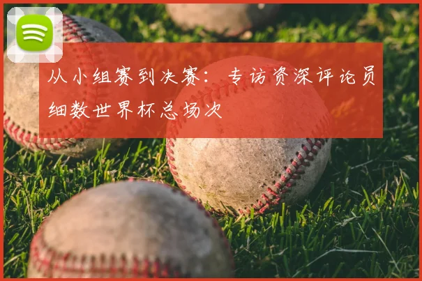 从小组赛到决赛：专访资深评论员细数世界杯总场次