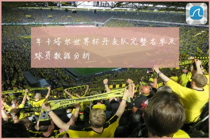 年卡塔尔世界杯丹麦队完整名单及球员数据分析