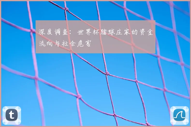 深度调查：世界杯赌球庄家的资金流向与社会危害
