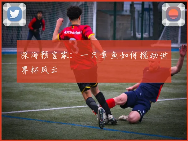 深海预言家:一只章鱼如何搅动世界杯风云