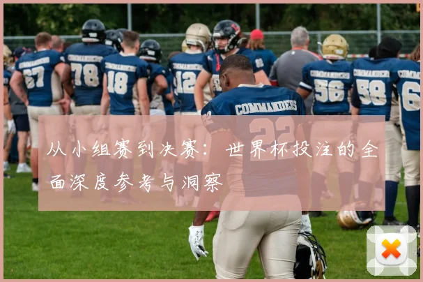 从小组赛到决赛：世界杯投注的全面深度参考与洞察