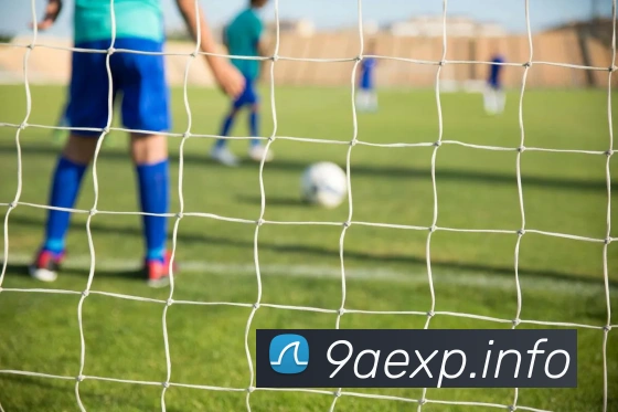 年世界杯巴西队主力阵容与战术体系，如何成就七战功成？