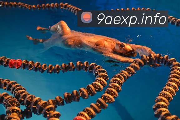 体育App